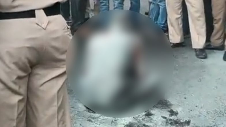 Maharashtra Shocker: मुंबई में विधानसभा के बाहर शख्स ने खुद को आग लगाई (Watch Video)