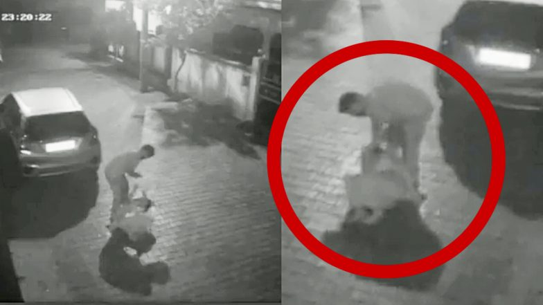 Viral Video: 'सब्जी ले आना', इतना कहते ही भड़क गया पति, बीवी को सड़क पर दौड़ा-दौड़ाकर पीटा