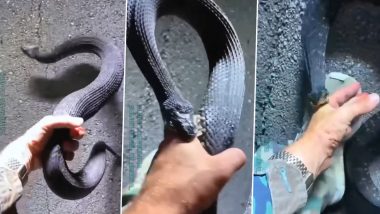 Snake Viral Video: नंगे हाथों से सांप को पकड़ना पड़ा भारी, गुस्साए नागराज ने हमला कर शख्स को कई जगह पर काटा