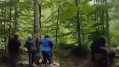 अपने स्वार्थ के लिए पेड़ काटने वाले शख्स को मिली उसके किए की सजा, प्रकृति ने ऐसे लिया बदला (Watch Viral Video)