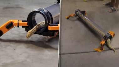 Snake Walk Using Robotic Legs: यूट्यूबर ने चलने के लिए सांपों को दिया "रोबोटिक पैर" देखें वीडियो