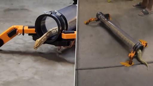 Snake Walk Using Robotic Legs: यूट्यूबर ने चलने के लिए सांपों को दिया 