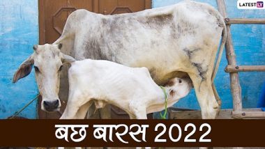 Bach Baras 2022: आज मनाया जा रहा है बछ बारस, जानिए इस दिन का महत्व और व्रत कथा