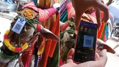 Viral Video: पैसे दान करने के लिए शख्स ने गाय के सिर पर लगे क्यूआर कोड को स्कैन किया, देखें वीडियो