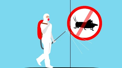 शख्स को घर में कीटनाशक दवाई छिड़कना पड़ा महंगा, मसूम बच्ची की गई जान