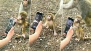Viral Video: बंदर के बच्चे ने इंसान से फोन छीनने की कोशिश की, वीडियो वायरल