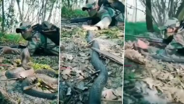 Viral Video: जंगल में सैनिक पर घात लगाए बैठा था किंग कोबरा, उसके बाद जो हुआ देखें वीडियो