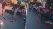 सड़क से गुजर रही महिला पर कहर बनकर टूटा गुस्सैल सांड, हवा में उछालकर बेरहमी से पटका जमीन पर (Watch Viral Video)