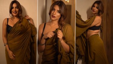 Shama Sikander की कातिलाना अदाएं देख आपके उड़ जाएंगे होश, हॉट साड़ी पहन एक्ट्रेस ने बढ़ाया टेम्परेचर (Watch Video)