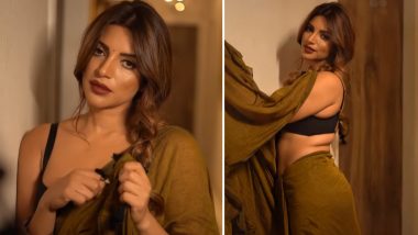 हॉट एक्ट्रेस Shama Sikander ने सेक्सी साड़ी पहनकर दिखाया देसी भाभी अवतार, Bold Video हुआ Viral