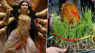 Navratri 2022 Barley Importance: नवरात्रि में जौ ही क्यों बोते हैं? जानें जौ कैसे बताएंगे कि किसे देवी माँ का कितना आशीर्वाद मिला?