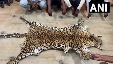 Leopard Skin Smuggling: 4 शख्स तेंदुए के खाल की कर रहे थे तस्करी, वन विभाग ने धर दबोचा, देखें वीडियो