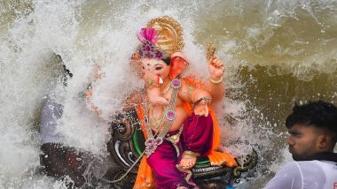 Ganpati Visarjan: महाराष्ट्र में गणपति विसर्जन के दौरान 14 लोगों की मौत