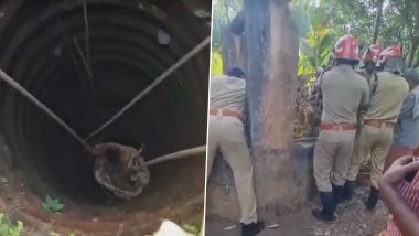 Thiruvananthapuram: 60 फीट गहरे कुएं में गिरा युवक, 24 घंटे बाद बचाया गया (Watch Video)