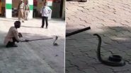 King Cobra: यूपी के जालौन में थाने में किंग कोबरा निकलने से मचा हडकंप, बुलाना पड़ा सपेरा- Video