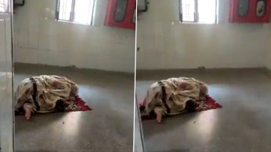 Video: प्रयागराज के अस्पताल में महिला ने पढ़ी नमाज, वीडियो वायरल होने पर FIR दर्ज, जांच में पुलिस ने कहा- कोई अपराध नहीं बनता