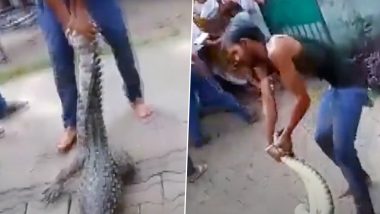 UP Crocodile Video: अलीगढ़ में एक स्कूल में घुसा मगरमच्छ, बेजुबान पर लोग डंडे बरसाते आए नजर