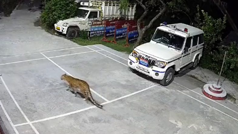 Uttarakhand Leopard Video: अल्मोड़ा में थाने के पास नजर आया तेंदुआ, उत्तराखंड पुलिस ने कर डाली ये अपील