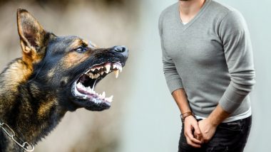 Dog Attack: प्राइवेट पार्ट काटने वाले Pit Bull कुत्ते के मालिक के खिलाफ केस दर्ज, निजी अंग पर बुरी तरह क्षतिग्रस्त