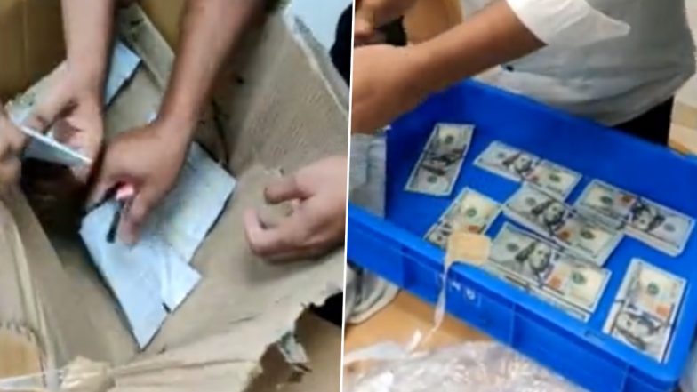 Delhi: CISF ने 15 लाख की विदेशी मुद्रा के साथ यात्री को पकड़ा (Watch Video)