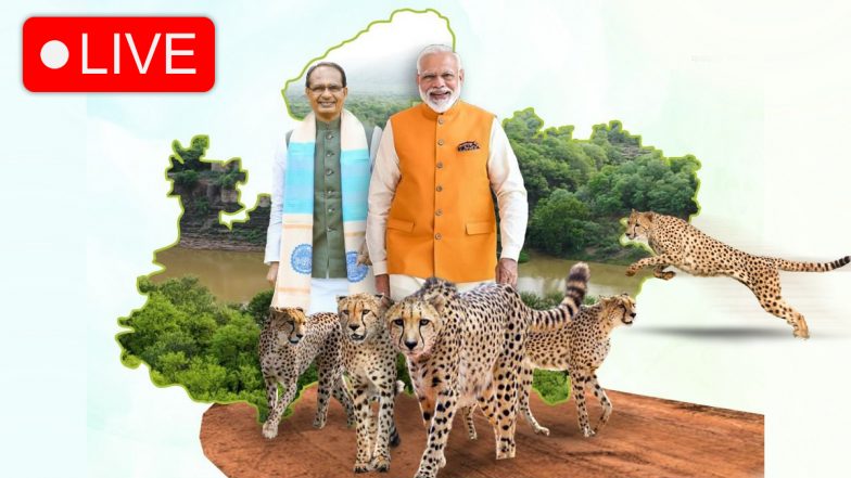 PM Modi launches Project Cheetah Live Streaming: 74 साल का इंतजार खत्म, PM मोदी कूनो नेशनल पार्क में छोड़ेंगे चीता, यहां देखिए लाइव