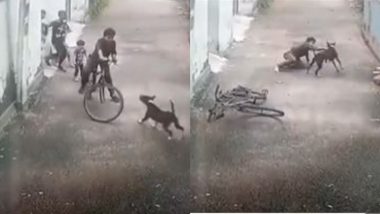 Dog Attack Viral Video: आवारा कुत्ते ने किया साइकिल सवार लड़के पर हमला, बुरी तरह से कर दिया घायल