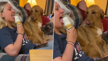 Viral Video: मालकिन को आइसक्रीम खाते देख ललचाया पालतू कुत्ता, फिर करने लगा ऐसी हरकत कि…