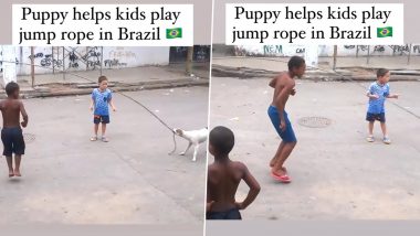 Viral Video: बच्चों के साथ रस्सी कूद खेलता दिखा कुत्ता, दिल जीतने वाला वीडियो हुआ वायरल