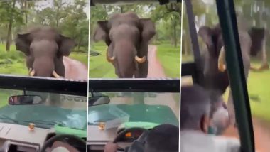 अपने करीब सफारी कार को देख आया हाथी को गुस्सा, दौड़ते हुए गजराज ने कर दिया अटैक और फिर... (Watch Viral Video)