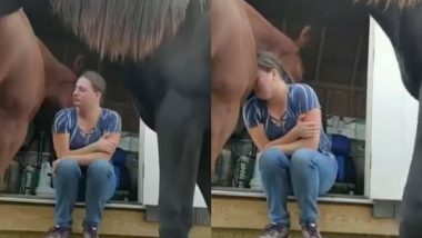 जब किसी बात से दुखी होकर रोने लगी महिला, सच्चे दोस्त की तरह घोड़े ने ऐसे दिया दिलासा (Watch Viral Video)