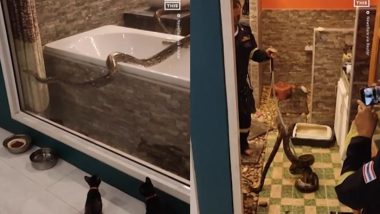 टॉयलेट के रास्ते महिला के बाथरूम में घुसा खतरनाक अजगर, बाथटब पर आया नजर (Watch Viral Video)