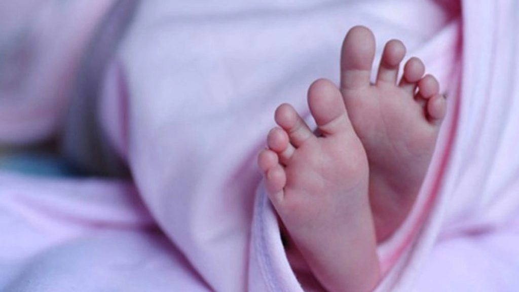 सड़क नहीं होने से ‘ढोली’ से ले जाई जा रही आदिवासी महिला ने जंगल में बच्चे को दिया जन्म