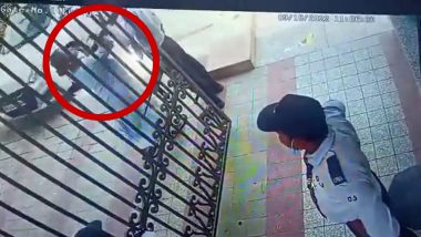 Viral Video: एक और थप्पड़बाज महिला का वीडियो वायरल, गेट खोलने में देरी होने पर गार्ड को पीटा