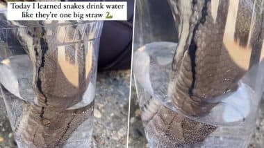 Thirsty Snake: सांप को लगी प्यास तो ग्लास में ही डाल दिया मुंह, एक झटके में सारा पानी गटक गए नागराज (Watch Viral Video)