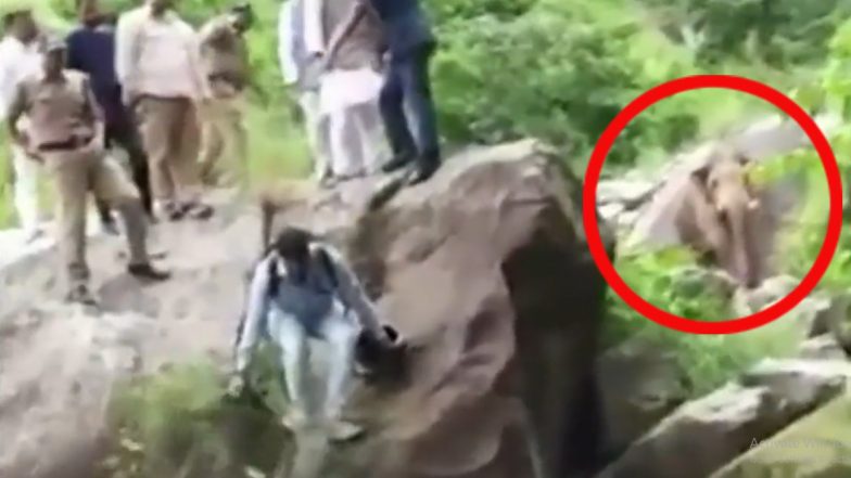 Uttarakhand: कोटद्वार और पौड़ी के रास्ते में पूर्व CM त्रिवेंद्र सिंह रावत के काफिले के सामने आया हाथी, ऐसे बचाई जान (Watch Video)