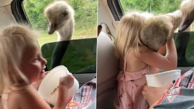 Viral Video: जंगल सफारी के दौरान 3 साल की बच्ची ने शुतुरमुर्ग को किया हग, इंटरनेट पर वीडियो वायरल