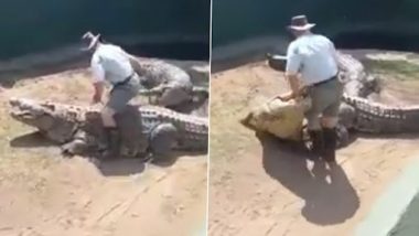 Crocodile Attacks Zookeeper: लाइव शो के दौरान 16 फीट के मगरमच्छ ने जूकीपर पर किया अटैक, दिल दहला देने वाला वीडियो वायरल