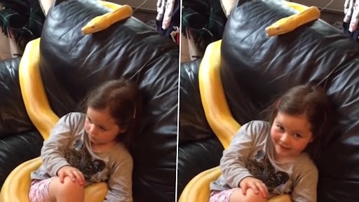 Girl Watching Tv With Snake: अपने 12 फुट लंबे पालतू अजगर के साथ टीवी देखती हुई बच्ची का क्लिप वायरल, वीडियो देख रह जाएंगे दंग