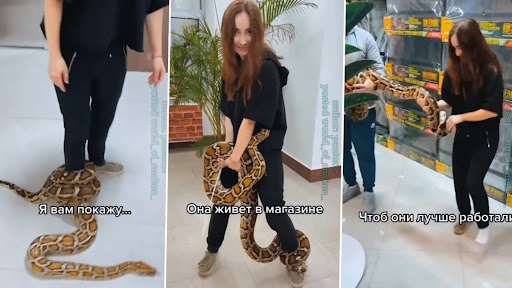 Viral Video: बच्ची की टांग से लिपटा अजगर, वीडियो देख रह जाएंगे दंग