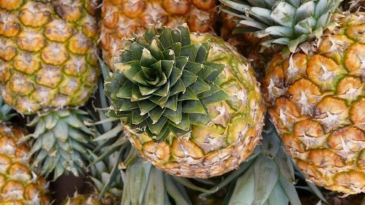 दुनिया में भारतीय अनानास की धूम, जानें क्या है इसकी खूबी