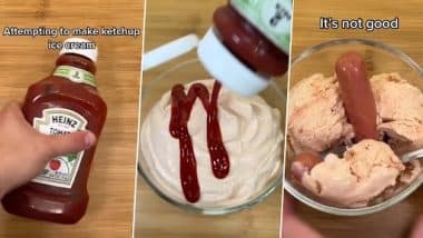 Ketchup Ice Cream: शख्स ने कैच-अप से बनाई आइसक्रीम, इंटरनेट पर भड़के लोग