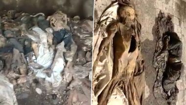 Pakistan Horrific Video: चील-कौए नोच-नोचकर खा रहे अस्पताल की छत पर सड़ती लाशें, वीडियो देख रूह कांप जाएगी, मुल्तान का मामला