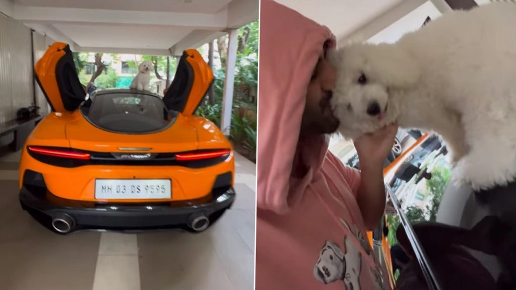 कटोरी ने Kartik Aaryan का रोका रास्ता