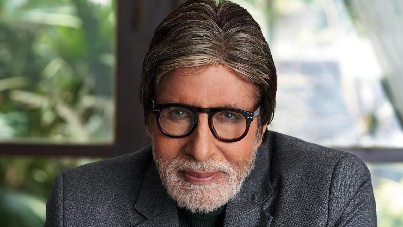 टेलीविजन पर दमदार अभिनय से भी अमिताभ बच्चन ने छोड़ी छाप