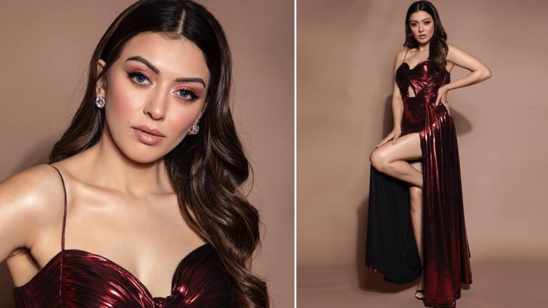 Hansika Motwani और Sohael Kathuriya 4 दिसंबर को रचाएंगे ब्याह - रिपोर्ट्स