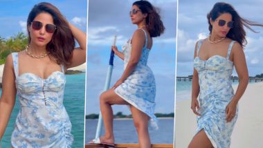 Hina Khan ने हॉट आउटफिट पहन दिए सेक्सी पोज, एक्ट्रेस की दिलकश अदाएं देख यूजर्स का धड़का दिल (See Pics)