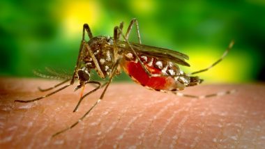 Delhi Dengue Case: दिल्ली में डेंगू का कहर, पिछले सप्ताह 247 मामले सामने आए