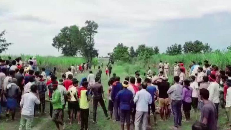 बिहार में आदम खोर Tiger मारा गया, अब तक 9 लोगों की ले चुका है जान
