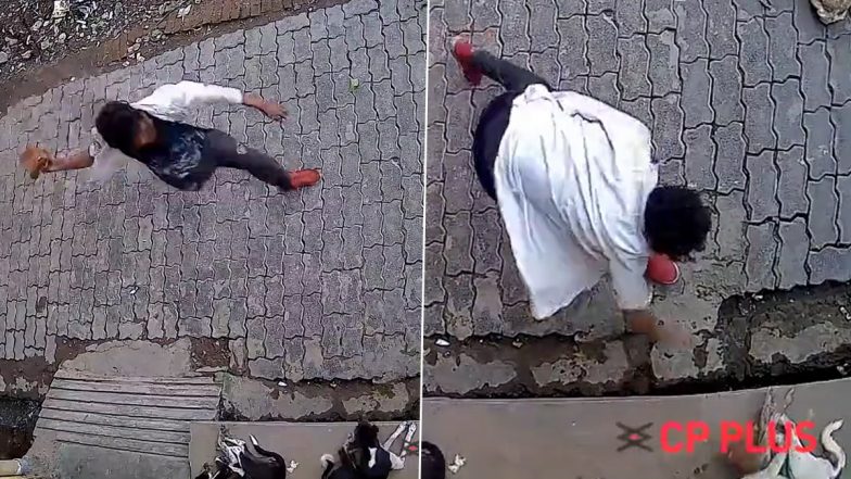UP Shocker: इंसान बना जानवर! कुत्ते के भौंकने पर चिढ़कर ईंट से कूच कर मार डाला -Video