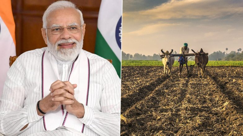 PM Kisan Yojana: दिवाली से पहले पीएम मोदी आज देंगे किसानों को गिफ्ट, जारी करेंगे 12वीं किस्त